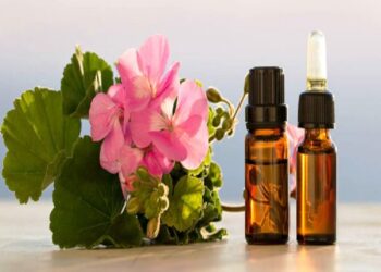 Quelle huile essentielle de géranium ?