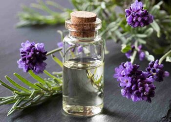 Quelle huile essentielle mettre dans une bougie ?