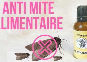 Quelle huile essentielle pour chasser les mites ?