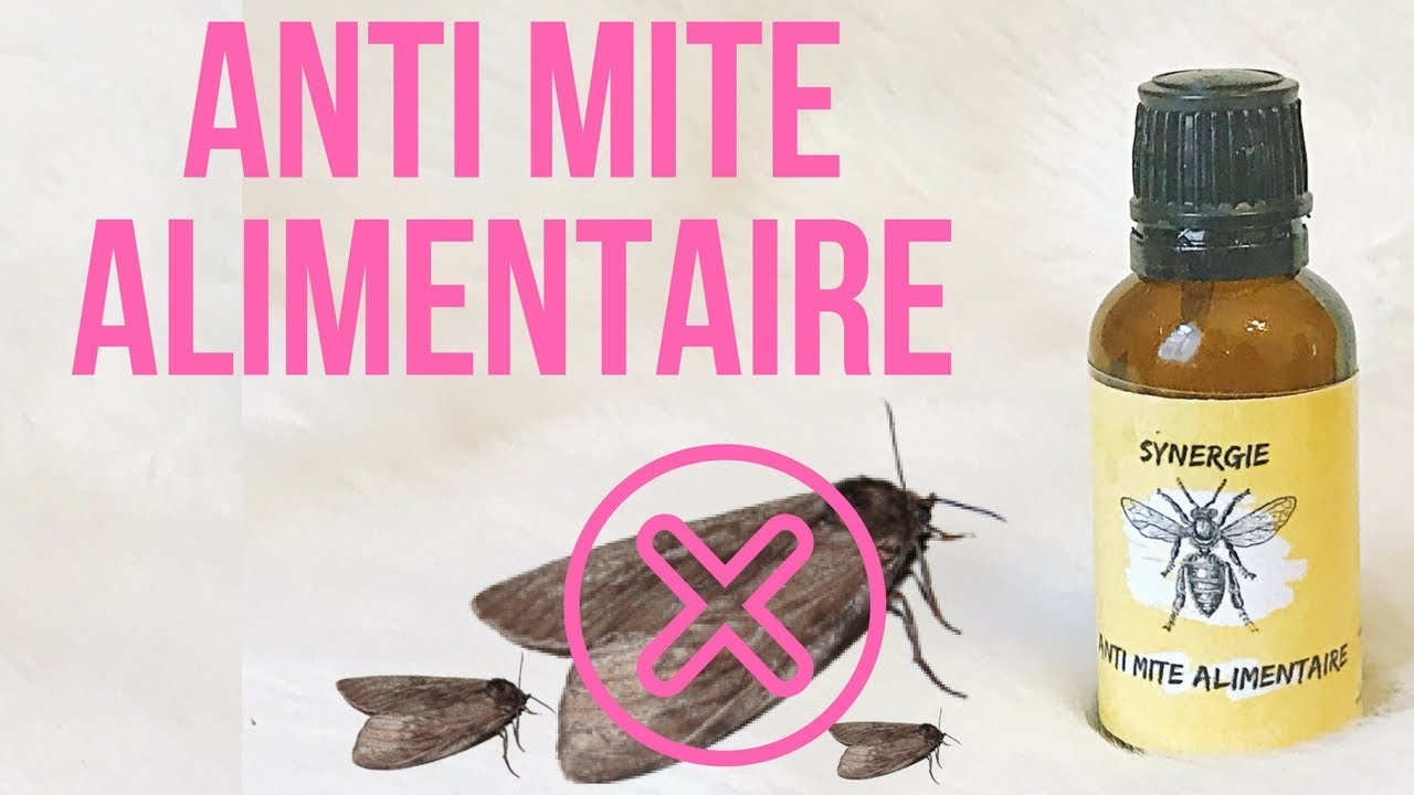 Quelle huile essentielle pour chasser les mites