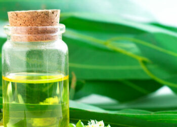 Quelle huile essentielle pour douleur musculaire et articulaire ?