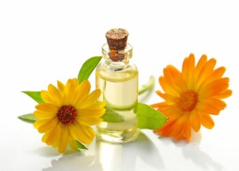 Quelle huile nourrir cuir ?