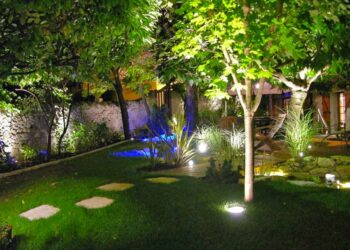 Quelle lumière pour éclairer un arbre ?