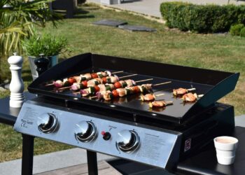 Quelle plancha à gaz choisir ?