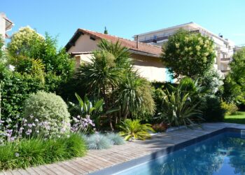 Quelle plante au bord d'une piscine ?
