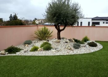 Quelle plante devant maison ?