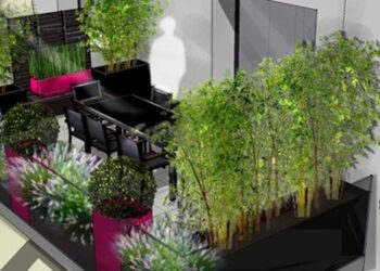 Quelle plante en pot pour cacher Vis-à-vis ?
