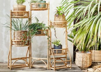 Quelle plante endroit venteux ?