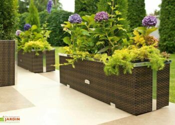 Quelle plante extérieur pour bac à réserve d'eau ?