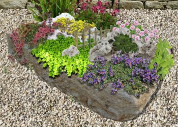 Quelle plante mettre dans un parterre ?