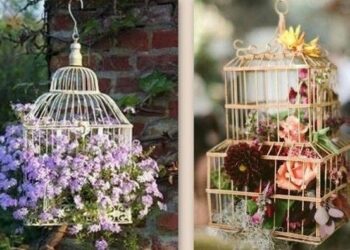 Quelle plante mettre dans une cage à oiseaux ?