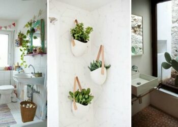 Quelle plante mettre dans une salle de bain sans fenêtre ?