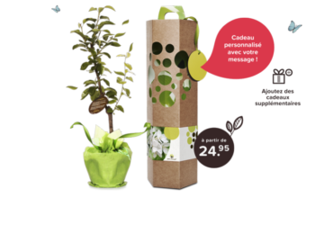 Quelle plante offrir pour une naissance ?
