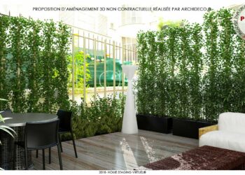 Quelle plante pour cacher le Vis-à-vis ?