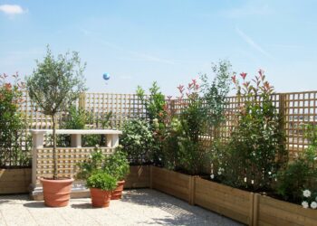 Quelle plante pour occulter terrasse ?