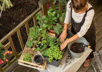 Quelle plante pour pot LECHUZA ?