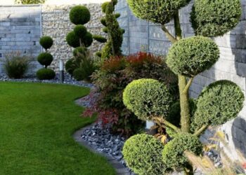 Quelle plante pour un coin zen ?