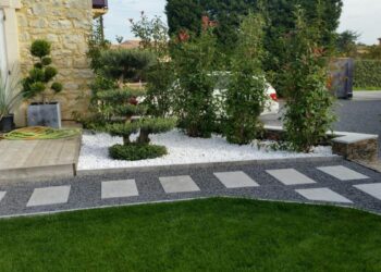 Quelle plante pour une entrée extérieure ?