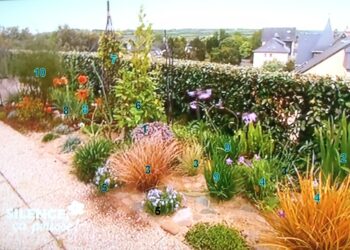 Quelle plante résiste aux embruns ?