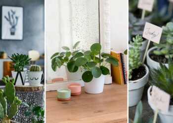 Quelle plante supporte les courants d'air ?