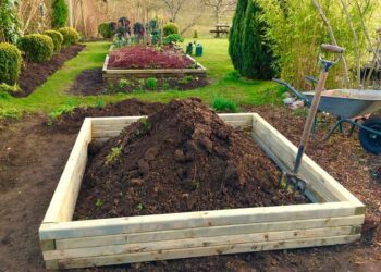 Quelle profondeur de terre pour un potager ?
