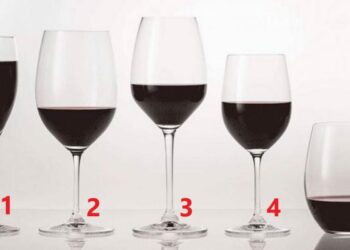 Quelle quantité de vin par jour ?