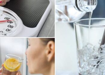 Quelle quantité d'eau pour un Kentia ?