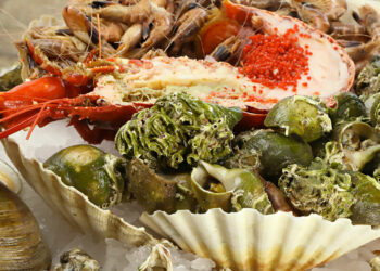 Quelle quantité par personne pour un plateau de fruits de mer ?