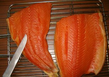 Quelle sciure pour fumer saumon ?