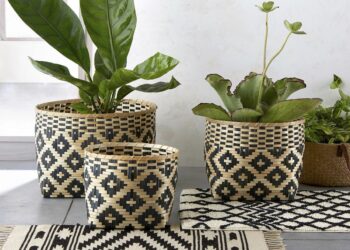 Quelle taille pour un Cache-pot ?