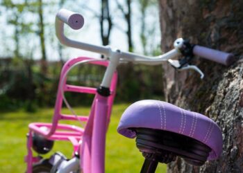 Quelle taille pour une draisienne ?