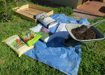 Quelle terre pour remplir un carré potager ?