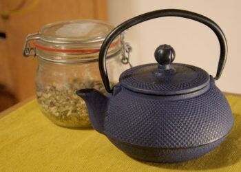 Quelle théière pour infusion ?
