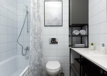 Quelles alternatives au rideau de douche ?