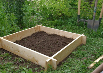 Quelles dimensions pour un carré potager ?