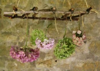 Quelles fleurs Peut-on stabiliser ?
