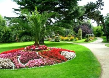 Quelles fleurs dans un petit jardin ?