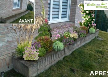 Quelles fleurs planter devant une maison ?