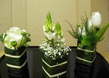 Quelles fleurs pour composition florale ?