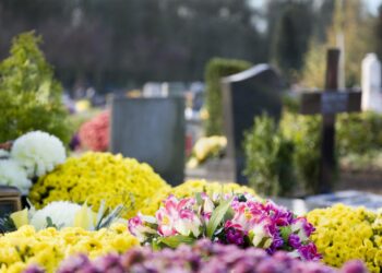Quelles fleurs pour lapin ?