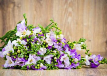 Quelles fleurs pour un mariage en mars ?