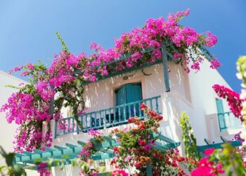 Quelles fleurs retombantes pour jardinières plein soleil ?