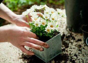 Quelles marques au printemps ?