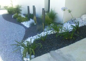 Quelles plantes avec paillis ardoise ?