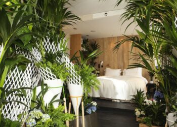 Quelles plantes dans une chambre ?