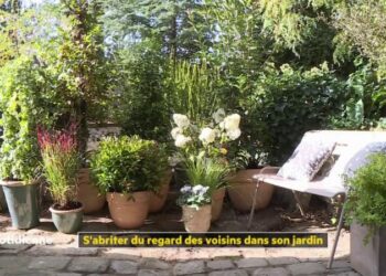 Quelles plantes pour se cacher de la vue des voisins ?