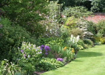 Quelles plantes pour un massif persistant ?
