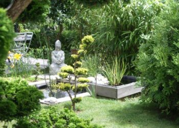 Quelles plantes pour un petit jardin japonais ?