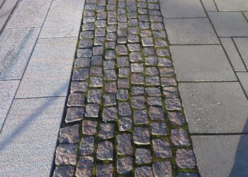 Quelles sont les carrelages les plus faciles à entretenir ?