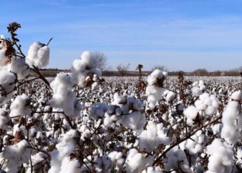 Quelles sont les matières naturelles ?